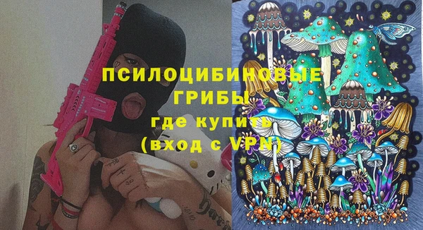 дурь Алексеевка