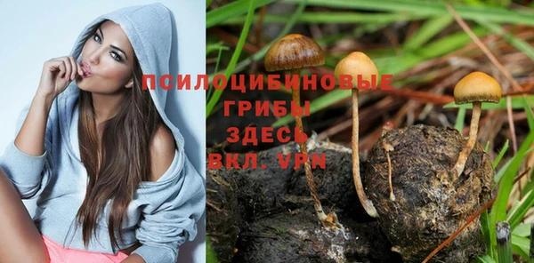 кристаллы Алзамай