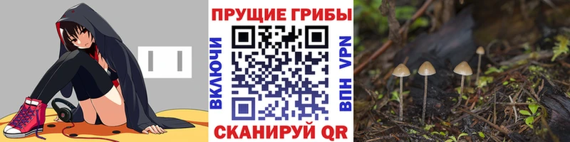Псилоцибиновые грибы ЛСД Пермь