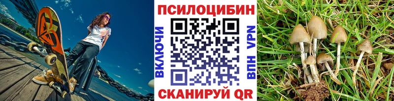 купить наркотик KRAKEN ТОР Псилоцибиновые грибы Psilocybe Пермь
